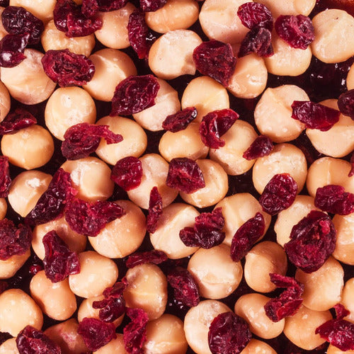 MIX MACADAMIA Y ARANDANOS