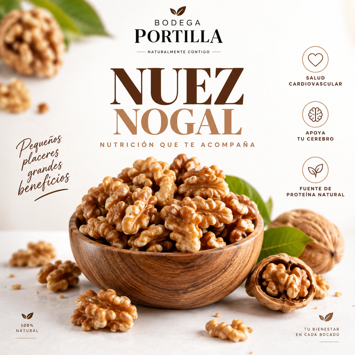 NUEZ DE NOGAL ( CEREBRITO)