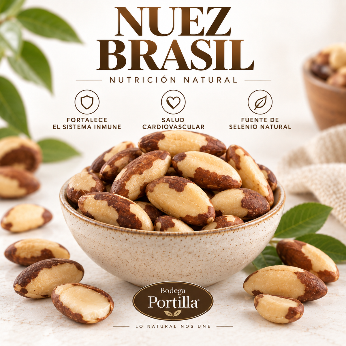 NUEZ DE BRASIL