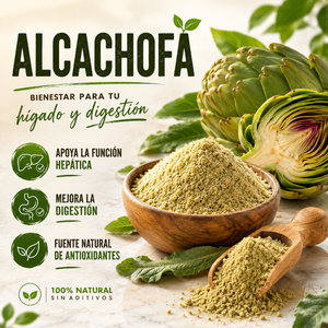 ALCACHOFA