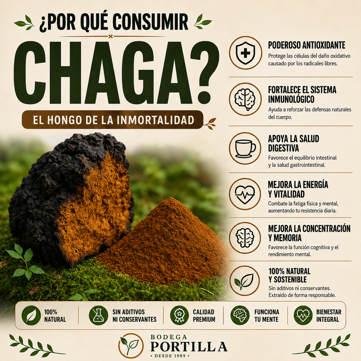 HONGO CHAGA (INONOTUS OBLIQUUS)