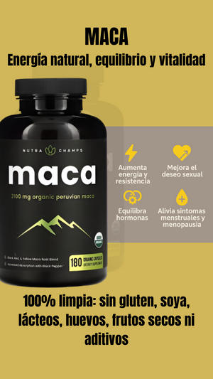 Maca – Energía natural y equilibrio hormonal