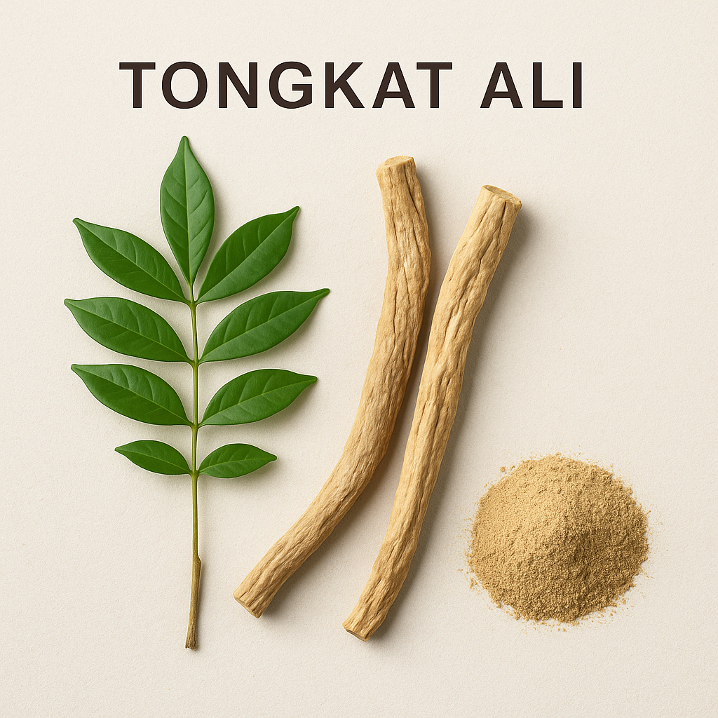 TONGKAT ALI