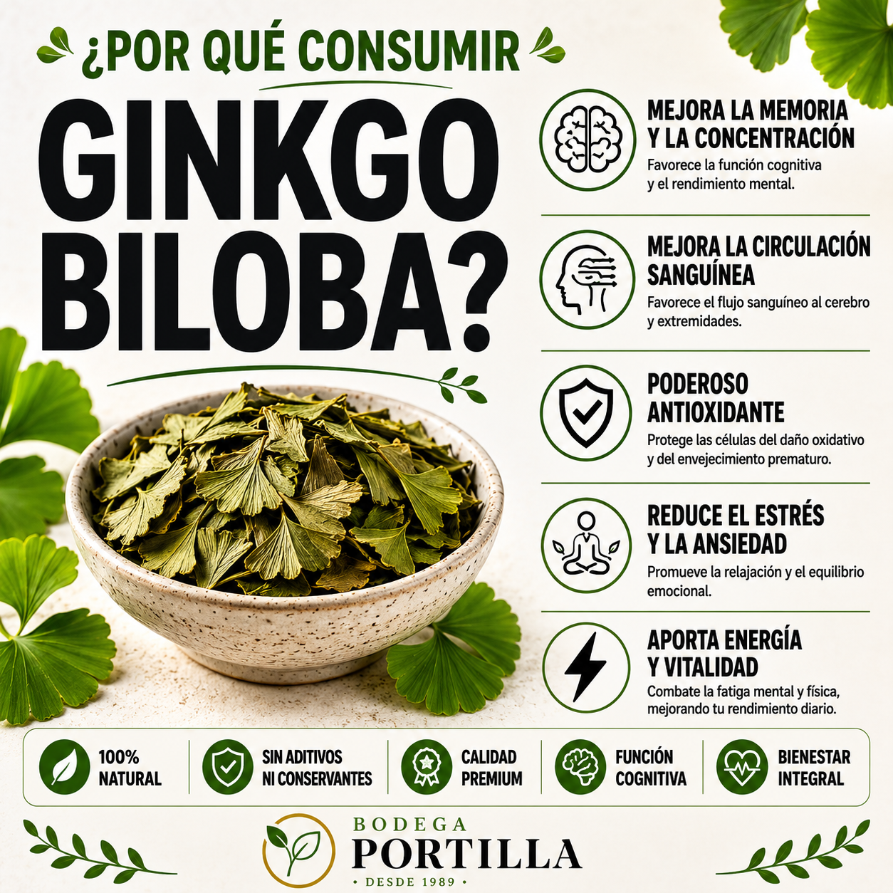 GINKGO BILOBA MOLIDO