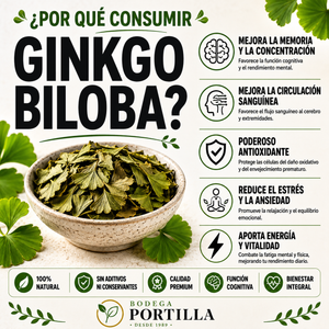 GINKGO BILOBA MOLIDO