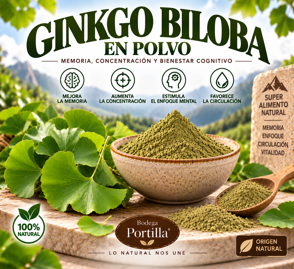 GINKGO BILOBA MOLIDO
